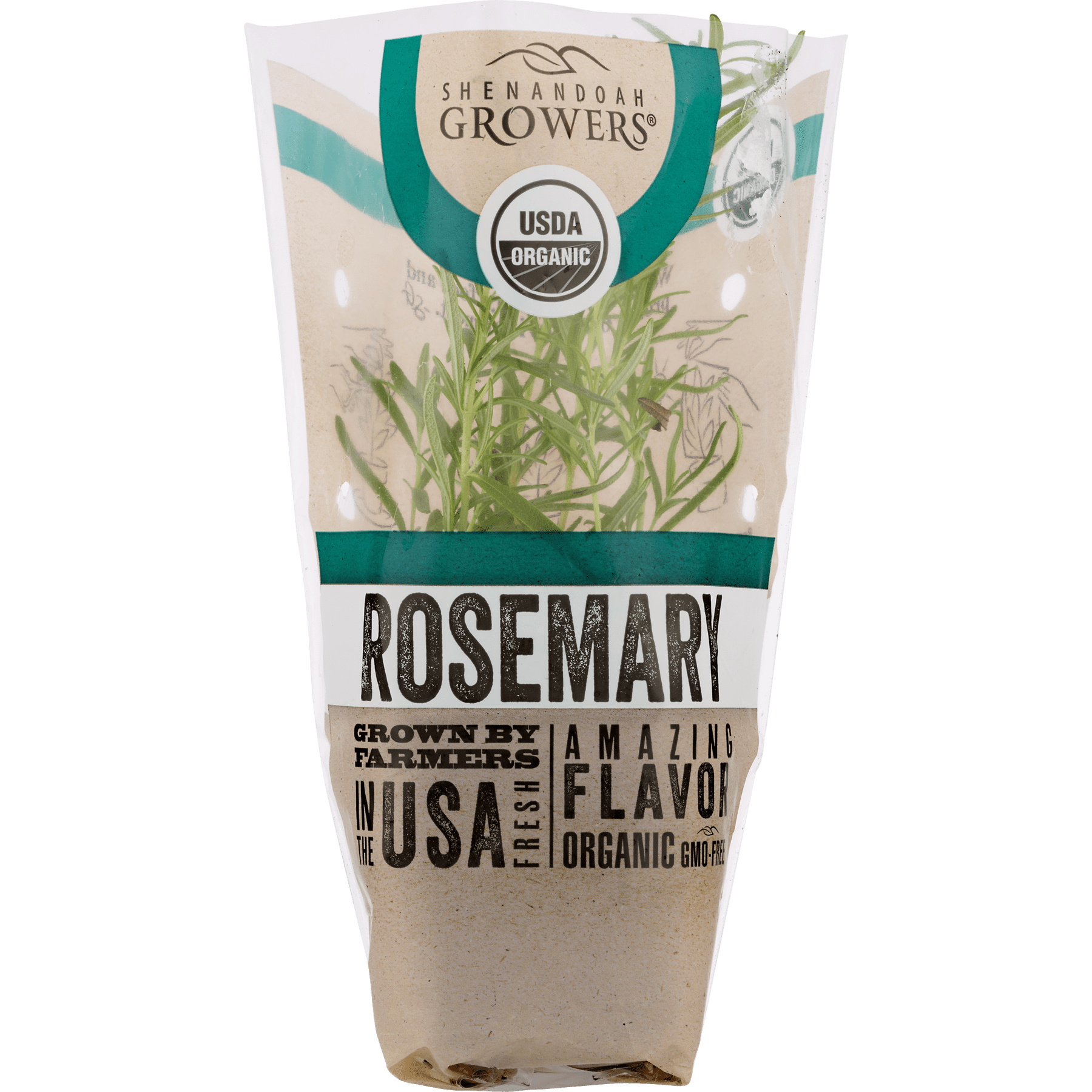 Organic Potted Rosemary Plant - 1 Each