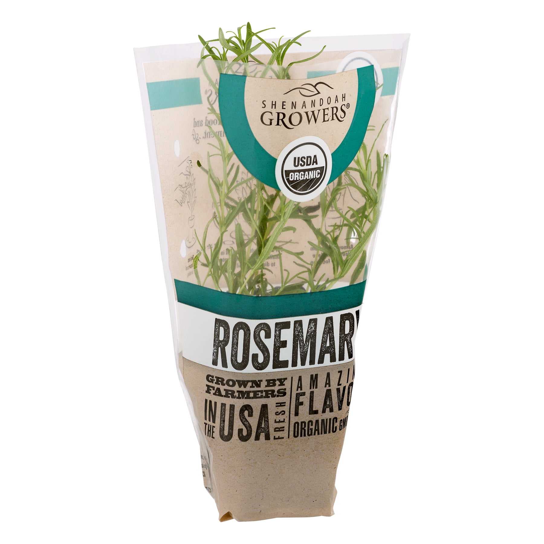 Organic Potted Rosemary Plant - 1 Each