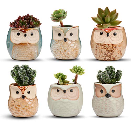 Set of 6 2.5" Owl Ceramic Succulent Planters