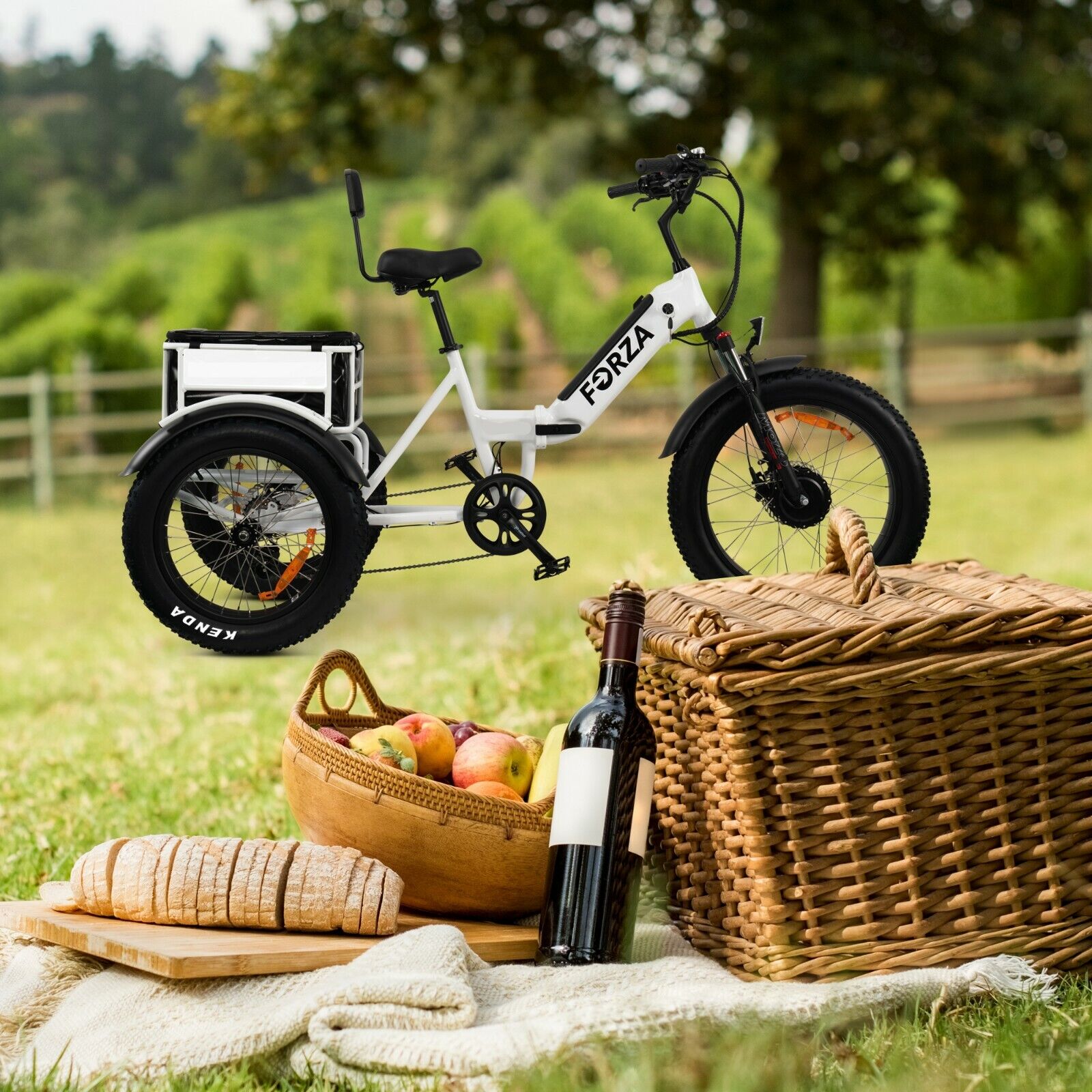 Electric Trike - 3 Wheel Motorized eBike