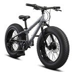Mongoose Argus ST Kids Fat Tire Mountain Bike