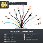 VIRIBUS 26" Front Wheel eBike Conversion Kit