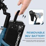 Electric Tricycle for Adults - 350W, 7 Speeds