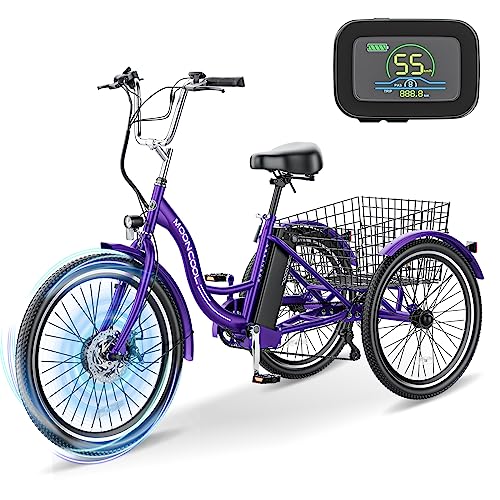 Esazn 24" Electric Trike with 350w Motor: Removable Battery
