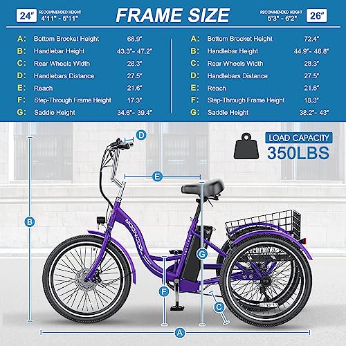 Esazn 24" Electric Trike with 350w Motor: Removable Battery