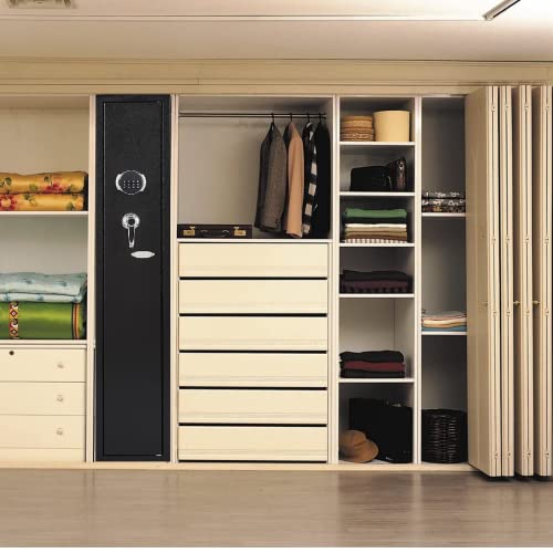 Electronic 2-Gun Home Security Cabinet