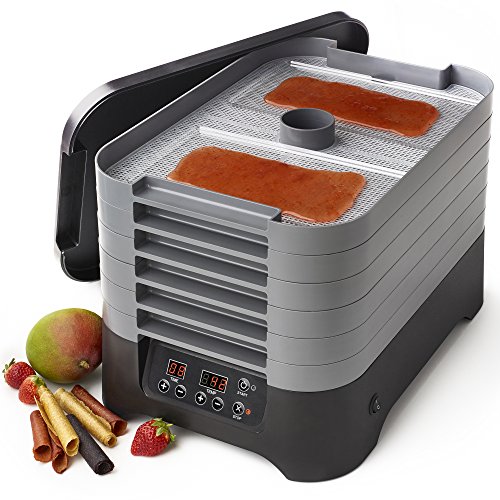 6-Tray Digital Food Dehydrator - Gray