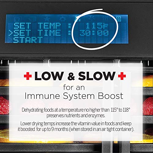 Excalibur RES10 Digital Dehydrator with Dual Zones