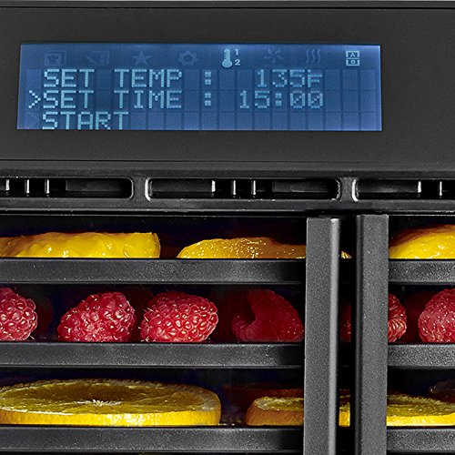 Excalibur RES10 Digital Dehydrator with Dual Zones