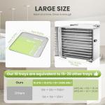 Stainless Steel 10-Tray Food Dehydrator with Timer