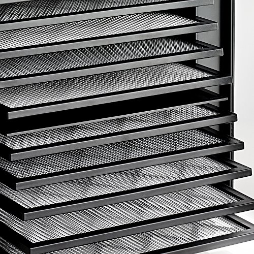 Excalibur RES10 Digital Dehydrator with Dual Zones
