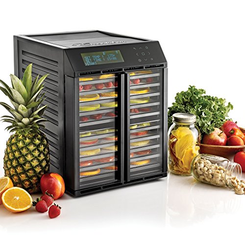 Excalibur RES10 Digital Dehydrator with Dual Zones