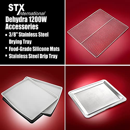 Commercial Grade Stainless Steel Food Dehydrator with 10 Trays