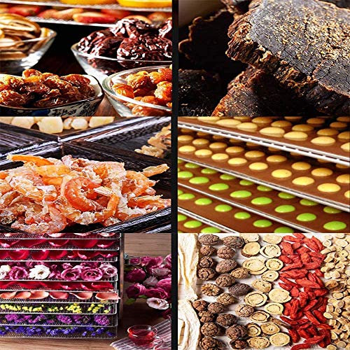 16-Tray Stainless Steel Food Dehydrator for Home & Restaurant