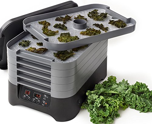 6-Tray Digital Food Dehydrator - Gray