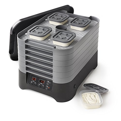 6-Tray Digital Food Dehydrator - Gray
