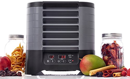 6-Tray Digital Food Dehydrator - Gray