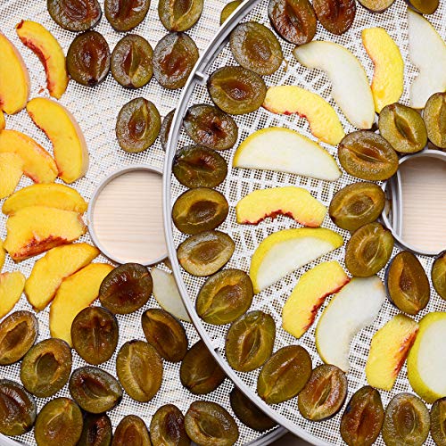 Non-Stick Silicone Dehydrator Sheets (6-pack)