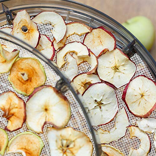 Non-Stick Silicone Dehydrator Sheets (6-pack)