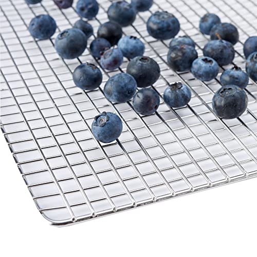 LEM Products 1154 Stainless Steel Professional 10-Tray Digital Dehydrator