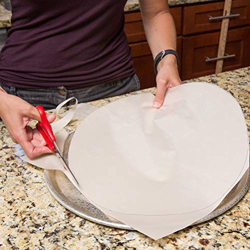 10 Reusable Non-Stick Dehydrator Sheets, 14x14 Inches