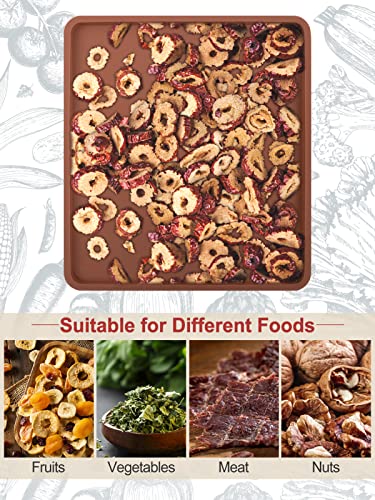 Silicone Dehydrator Mats for CP267-FD - Reusable Liner