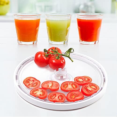 Round Food Grade Fruit Roll Dehydrator Sheets