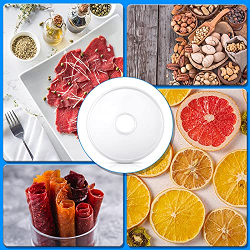 Round Food Grade Fruit Roll Dehydrator Sheets