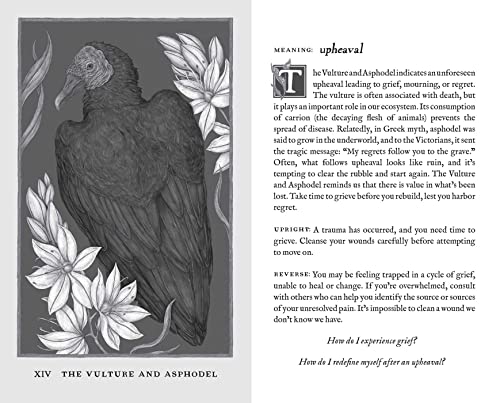 Woodland Wardens: Oracle Deck & Guidebook - 52 Cards