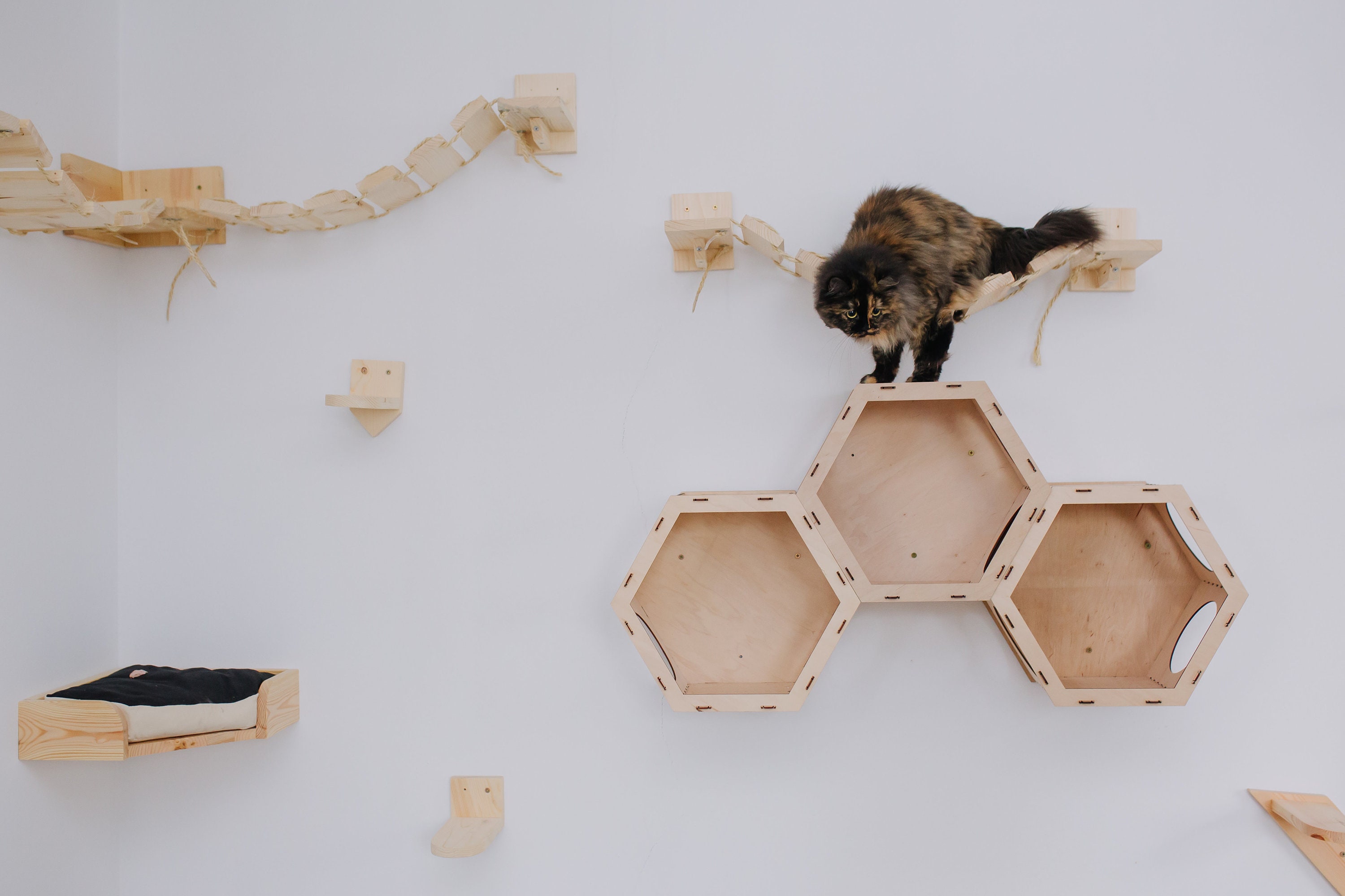 Wall-mounted cat furniture set