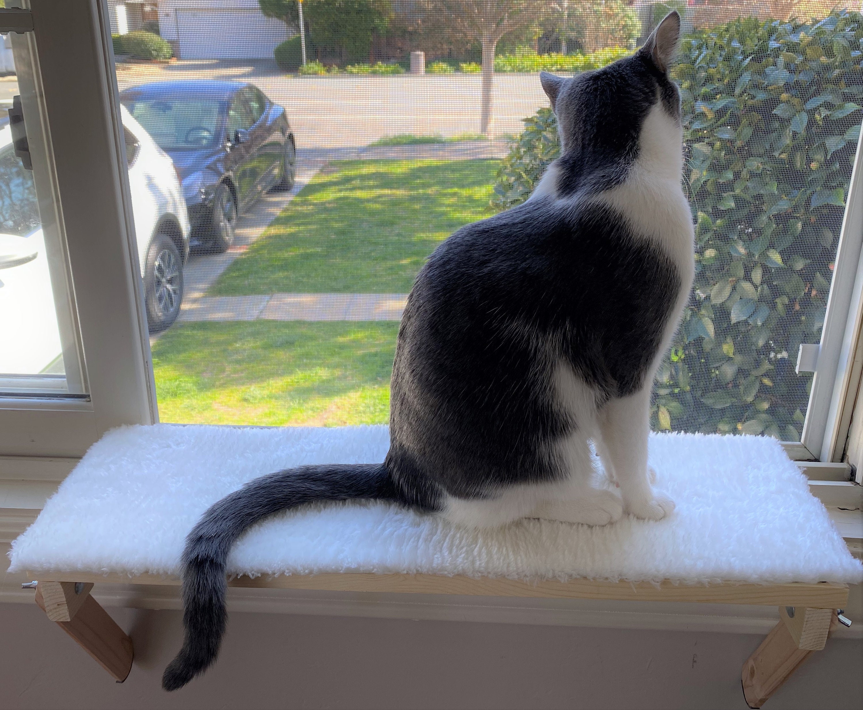 Easy Install Cat Window Perch