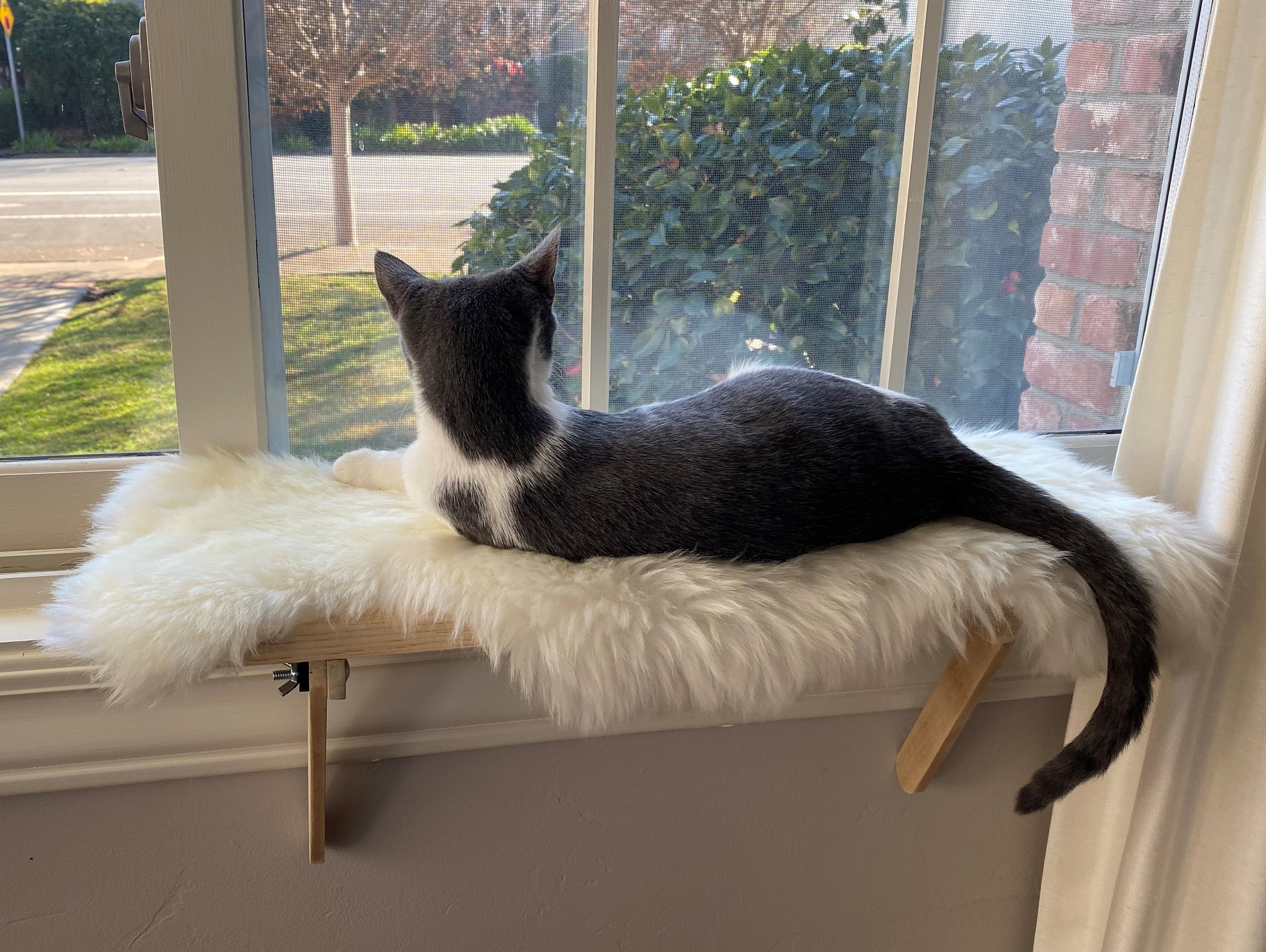 Easy Install Cat Window Perch