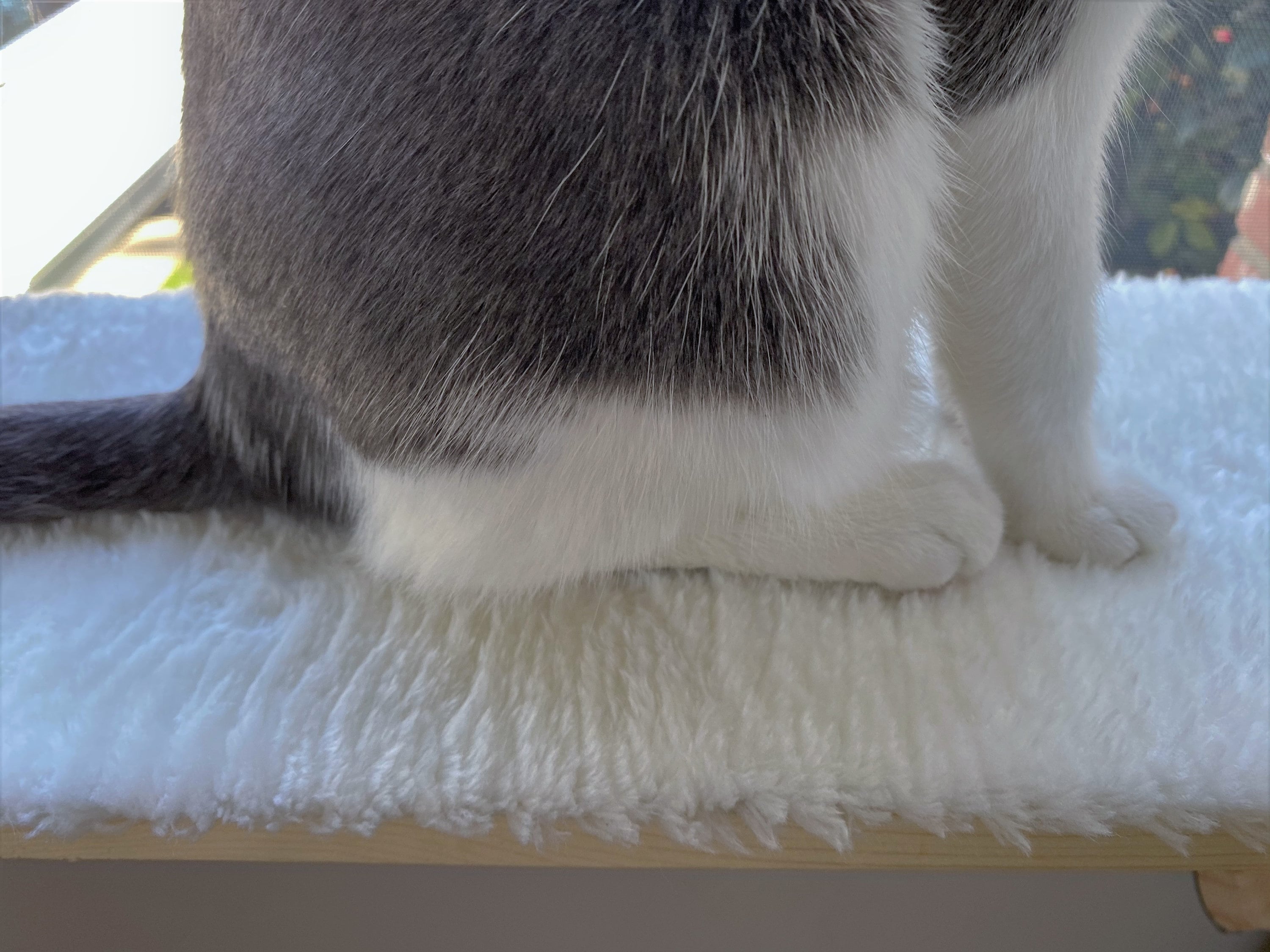 Easy Install Cat Window Perch