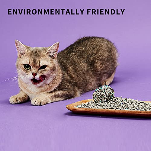 5-in-1 Cat Litter with Odor Control and Flushable Formula