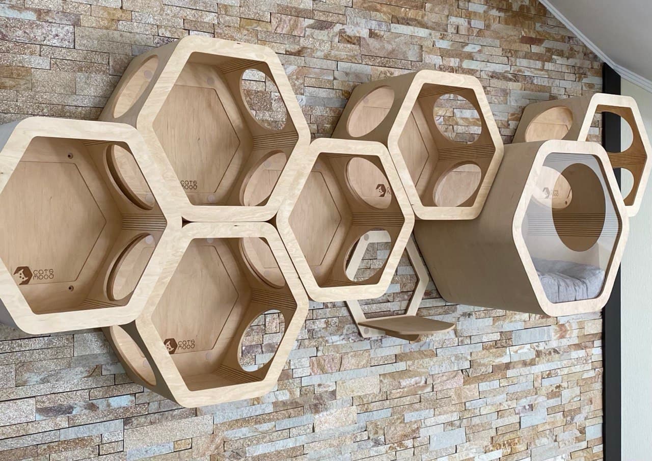 Contemporary Cat Furniture Set