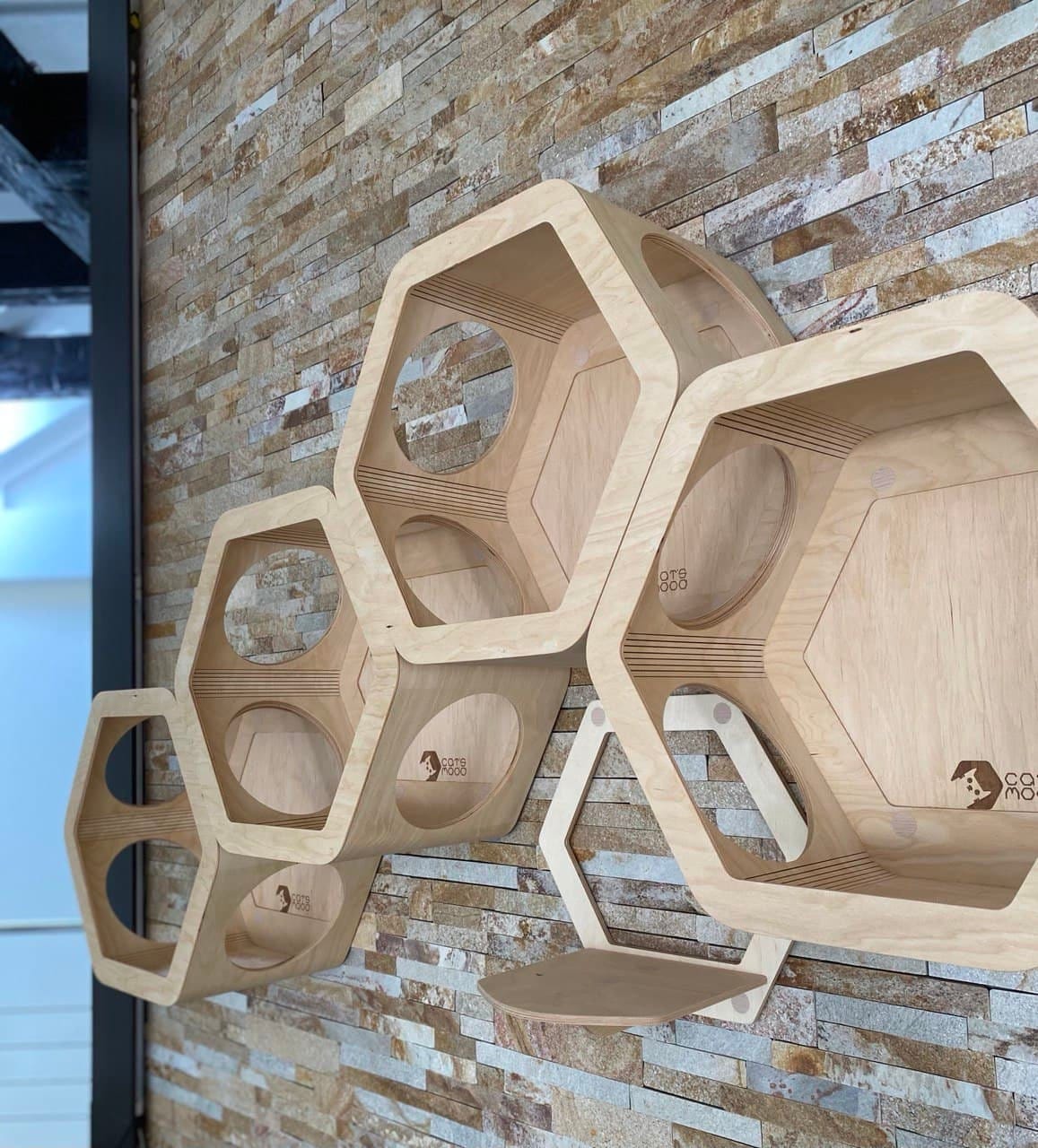 Contemporary Cat Furniture Set