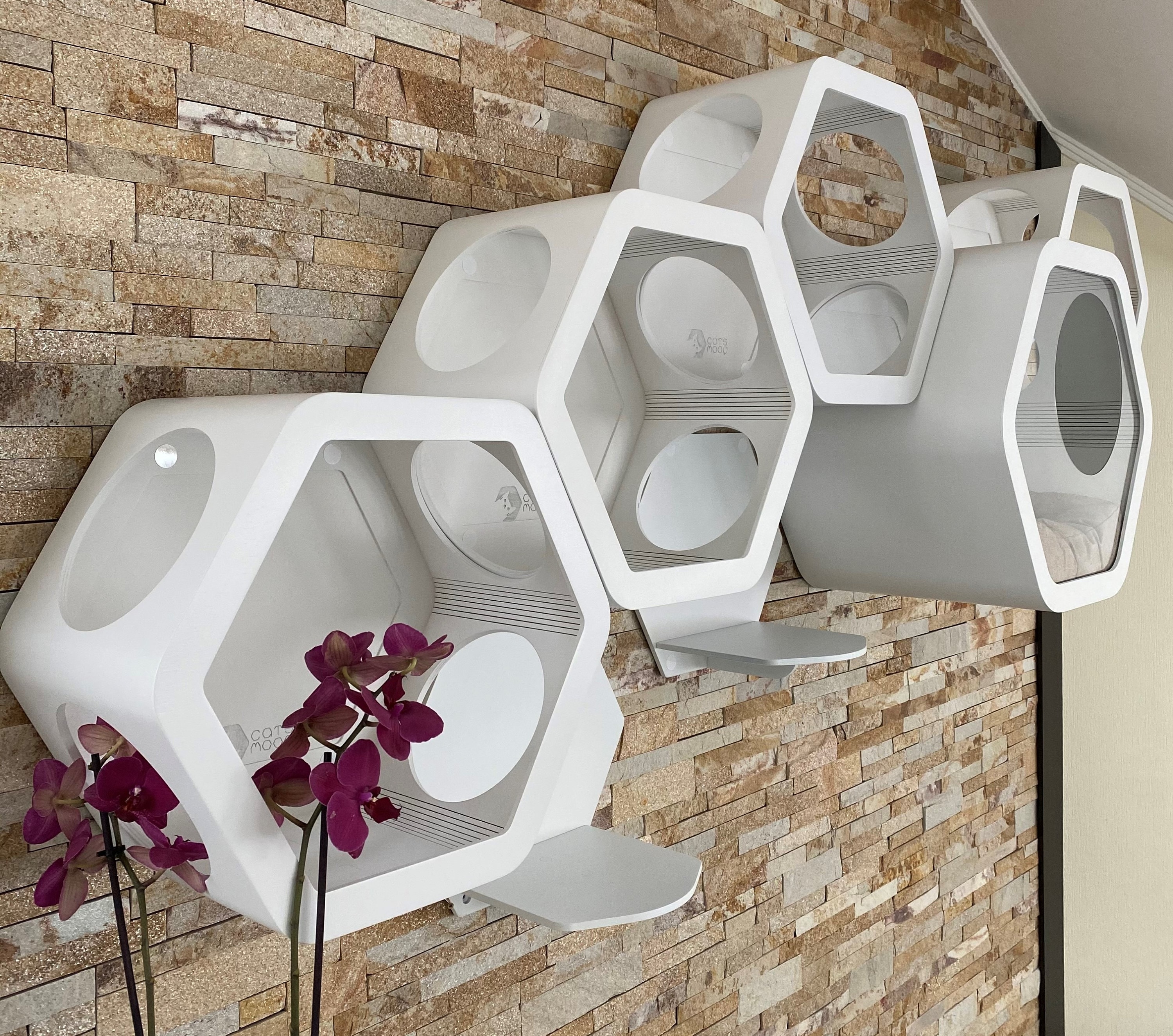 Contemporary Cat Furniture Set