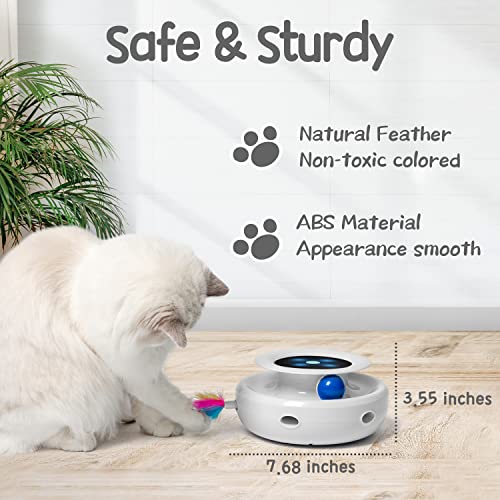 Interactive 2in1 Cat Toy with Timer and Feathers