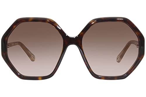 Chloe CH0008S Avana/Brown/Gradient One Size