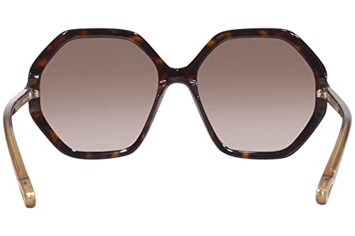 Chloe CH0008S Avana/Brown/Gradient One Size