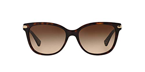 COACH Sunglasses HC 8132 529113 Dark Tortoise