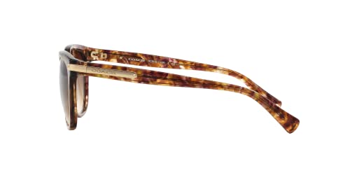 COACH Womens L109 Sunglasses (HC8132) Acetate