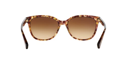 COACH Womens L109 Sunglasses (HC8132) Acetate