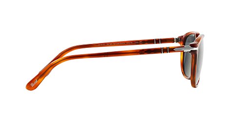 Persol Terra Di Siena Square Sunglasses 55mm Blue