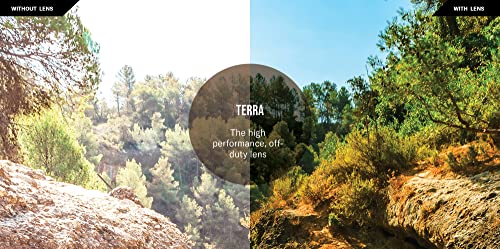 Revo Polarized Sunglasses: Metal Navigator with Terra Lens