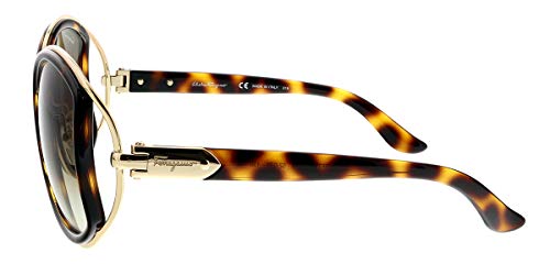 Salvatore Ferragamo SF719S Womens Havana/Gold Sunglasses 52mm