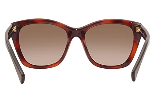 Ferragamo Women's Tortoise Sunglasses SF957S