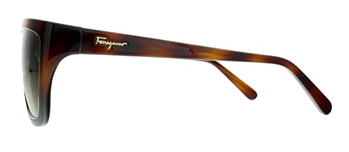 Salvatore Ferragamo SF1018S 214 Womens Tortoise Sunglasses