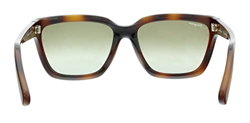 Salvatore Ferragamo SF1018S 214 Womens Tortoise Sunglasses