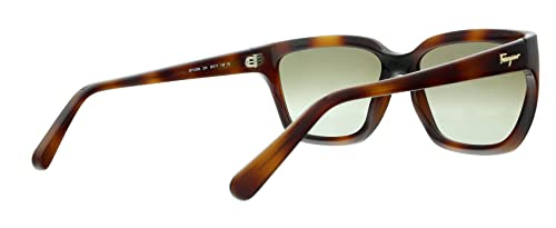Salvatore Ferragamo SF1018S 214 Womens Tortoise Sunglasses